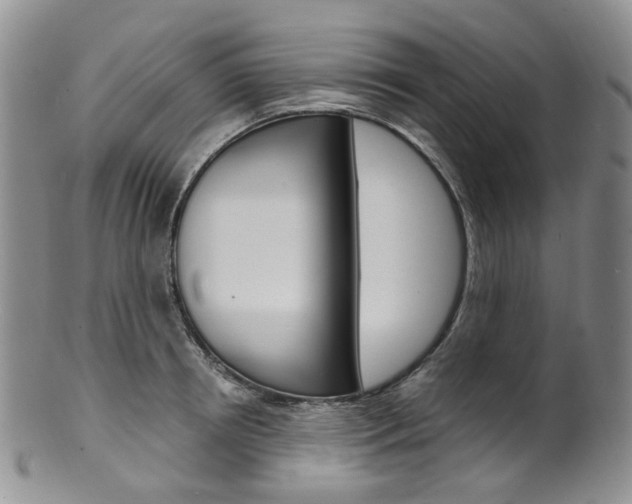 X0000101650850200807100938
