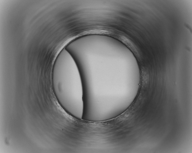 X0000101650852200807100938