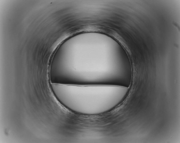 X0000101650853200807100938