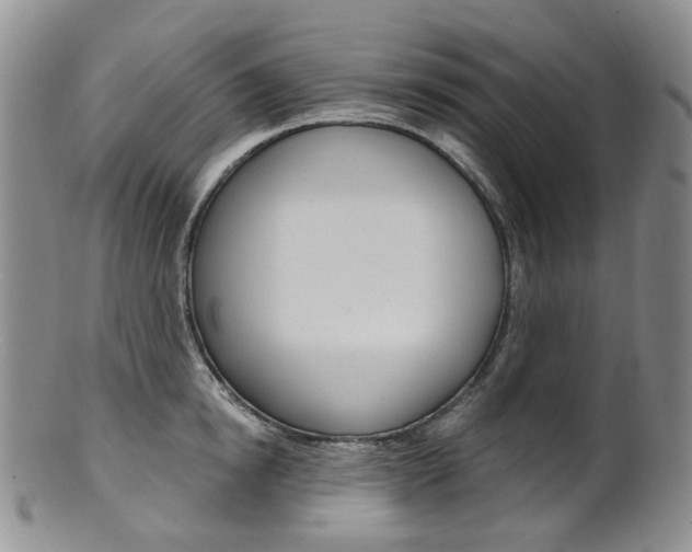 X0000101650854200807100938