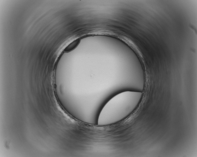 X0000101650855200807100938