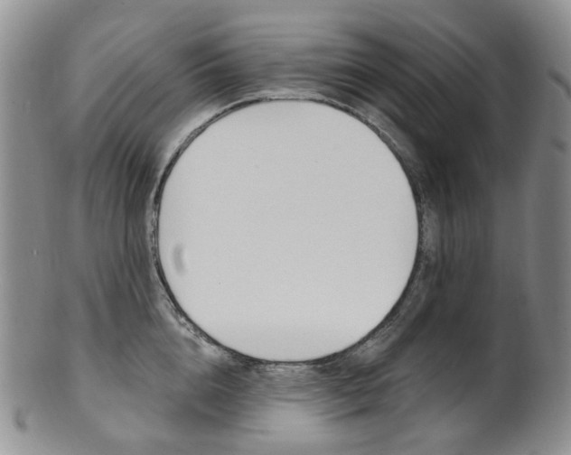 X0000101650856200807100938