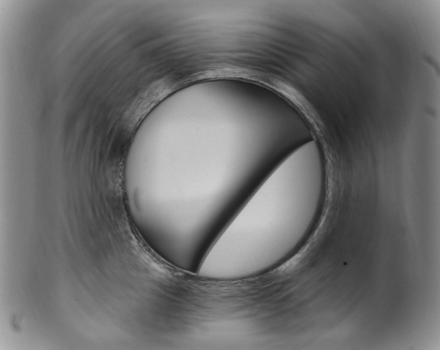 X0000101650857200807100938