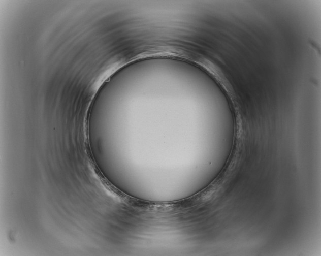 X0000101650858200807100938