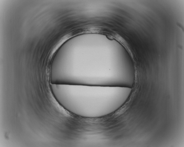 X0000101650859200807100938