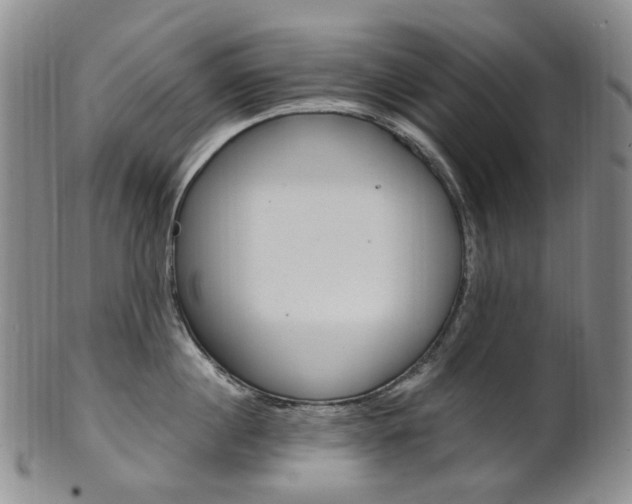 X0000101650860200807100938