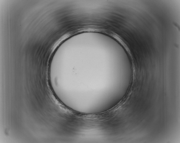 X0000101650861200807100938