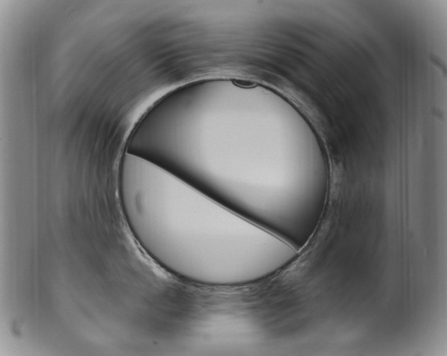X0000101650862200807100938