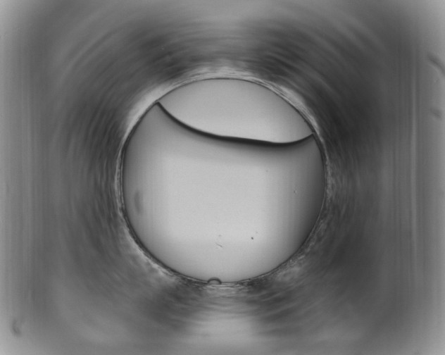 X0000101650863200807100938