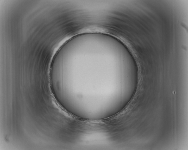 X0000101650864200807100938