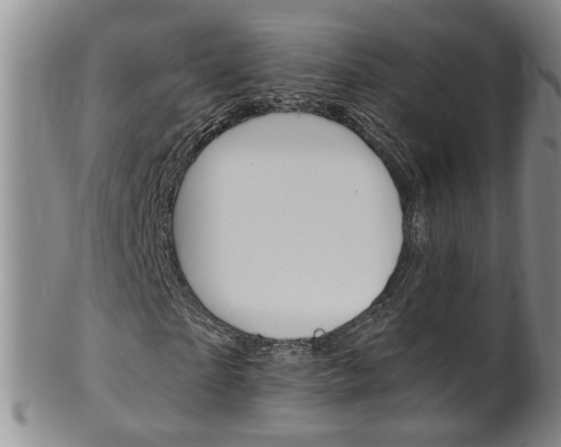 X0000101650865200807100937