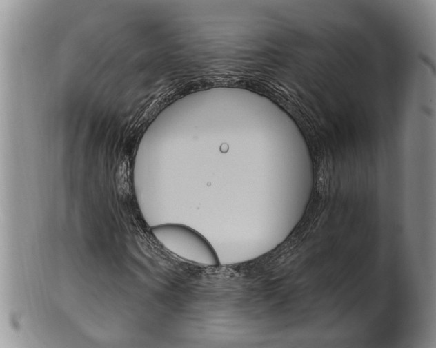 X0000101650866200807100937