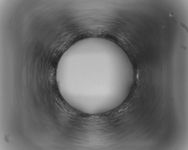 X0000101650867200807100937