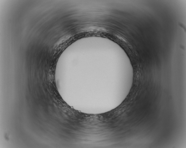 X0000101650869200807100937