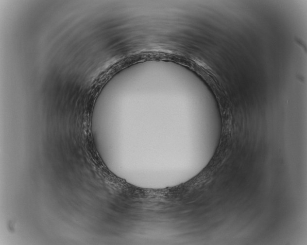 X0000101650870200807100937