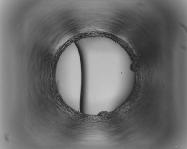X0000101650871200807100937