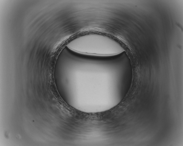X0000101650872200807100937