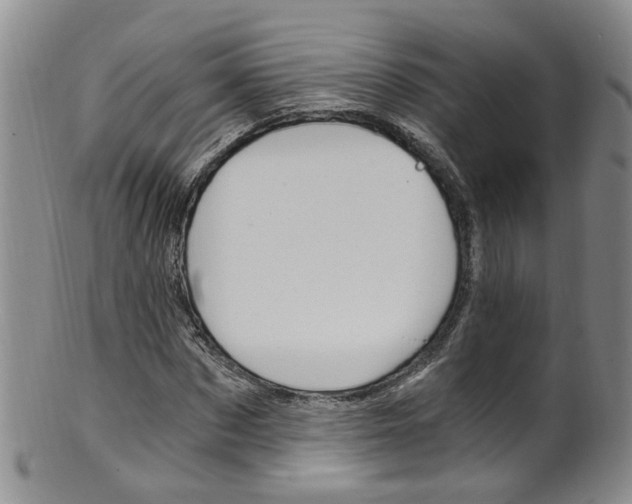 X0000101650873200807100937