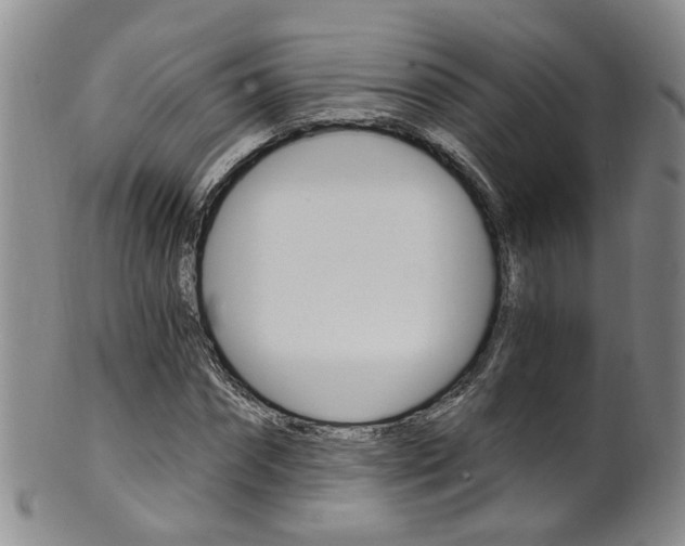 X0000101650874200807100937
