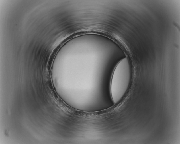 X0000101650876200807100937