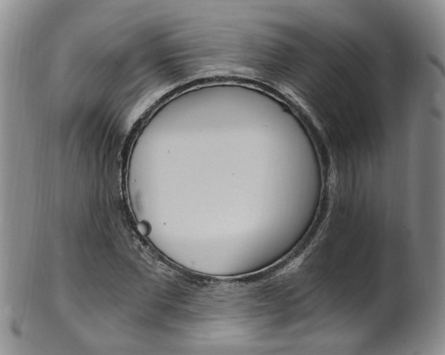 X0000101650877200807100937