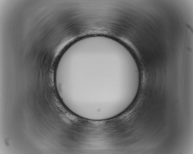 X0000101650878200807100937