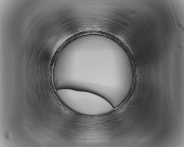 X0000101650879200807100937