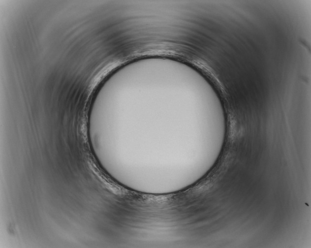 X0000101650882200807100937