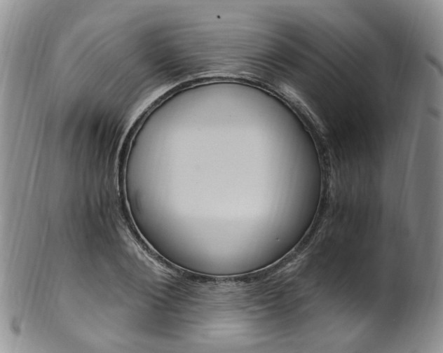 X0000101650884200807100937