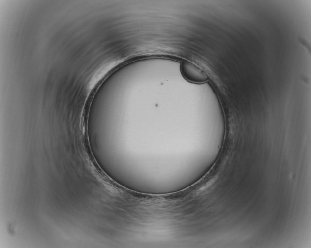 X0000101650885200807100937