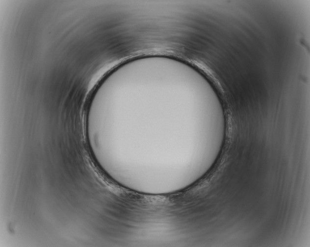 X0000101650886200807100937