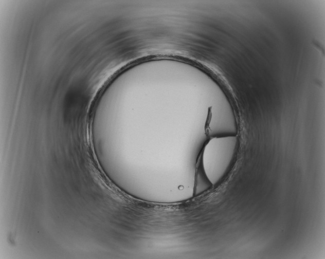 X0000101650887200807100937