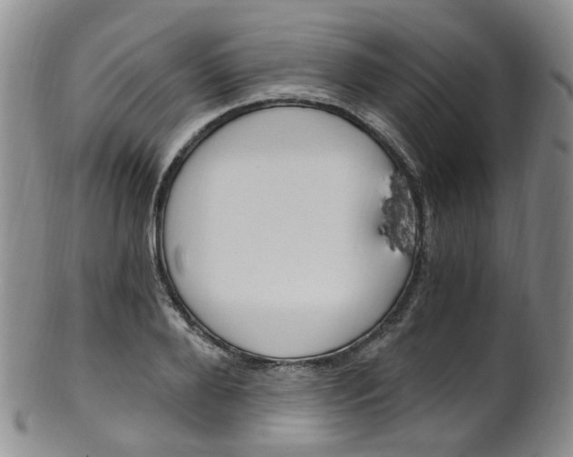 X0000101650888200807100937