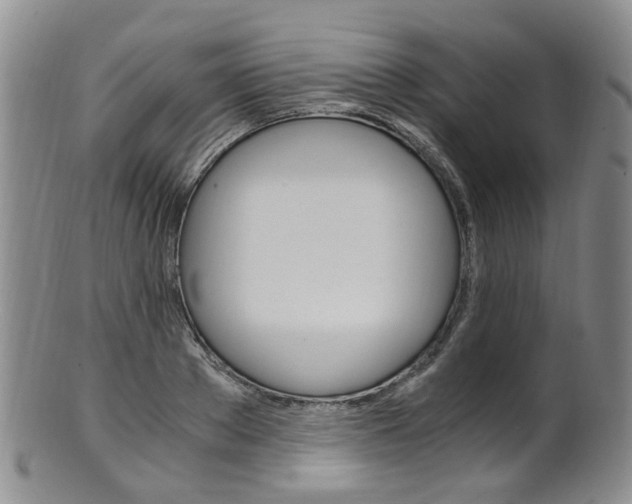 X0000101650889200807100937