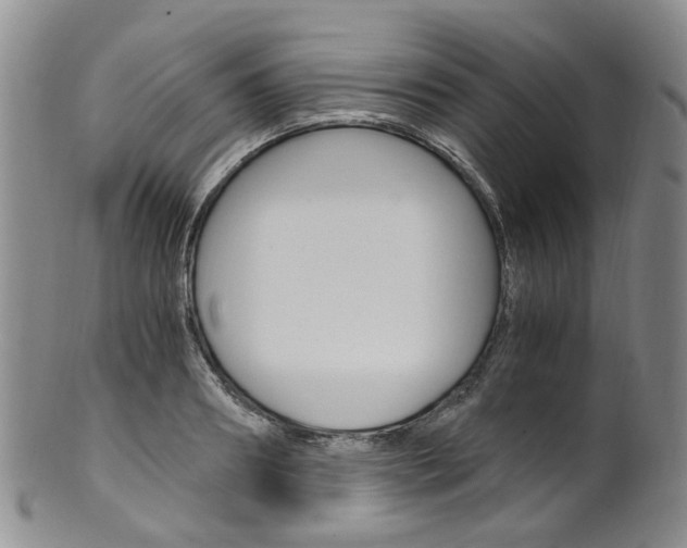 X0000101650890200807100937