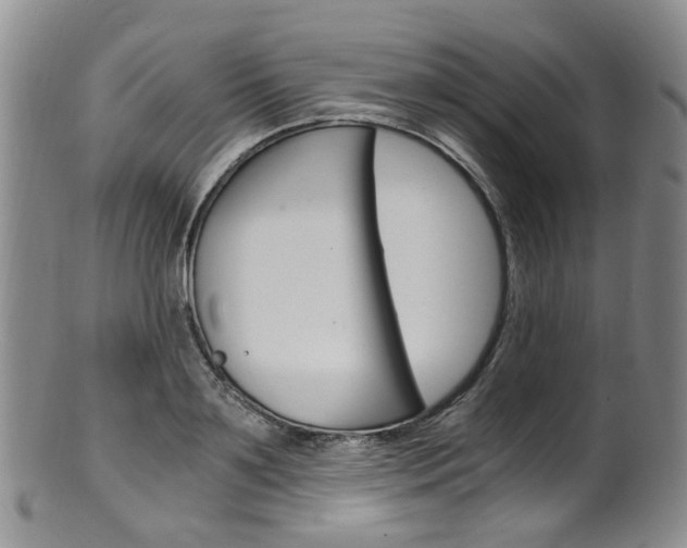 X0000101650891200807100937