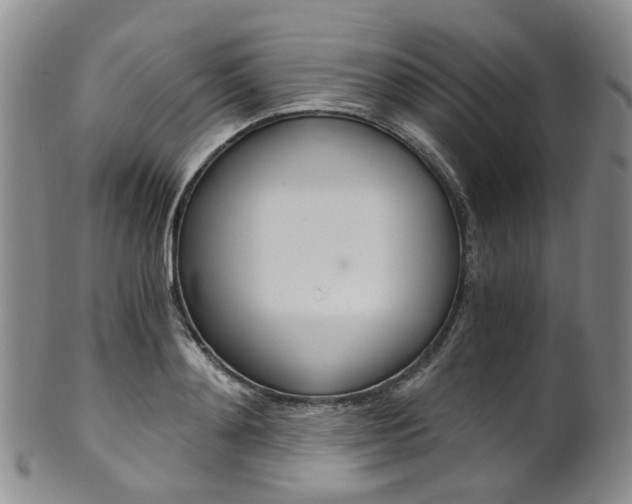 X0000101650892200807100937