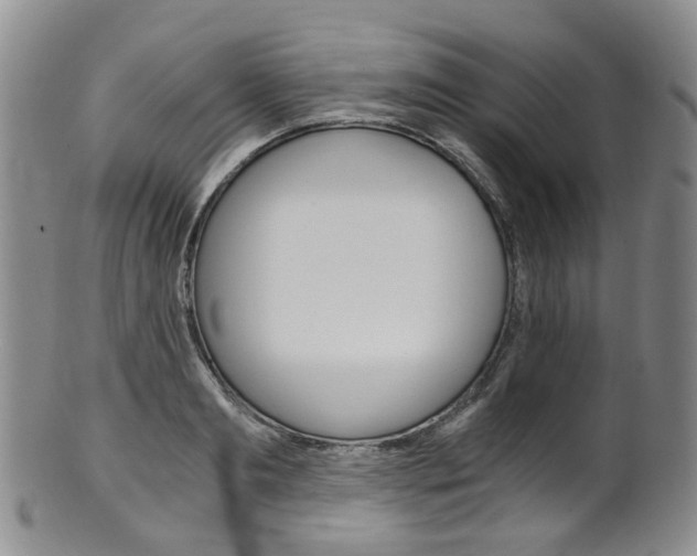 X0000101650893200807100937