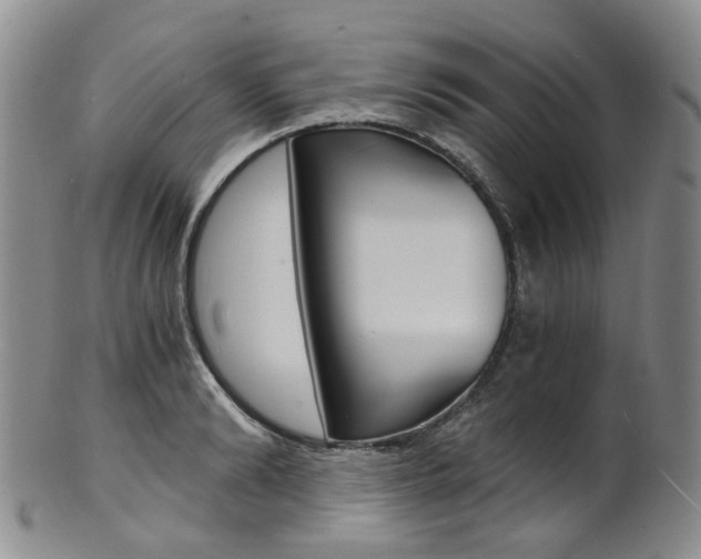 X0000101650894200807100937