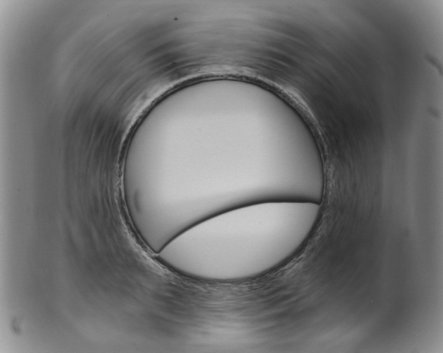 X0000101650895200807100937