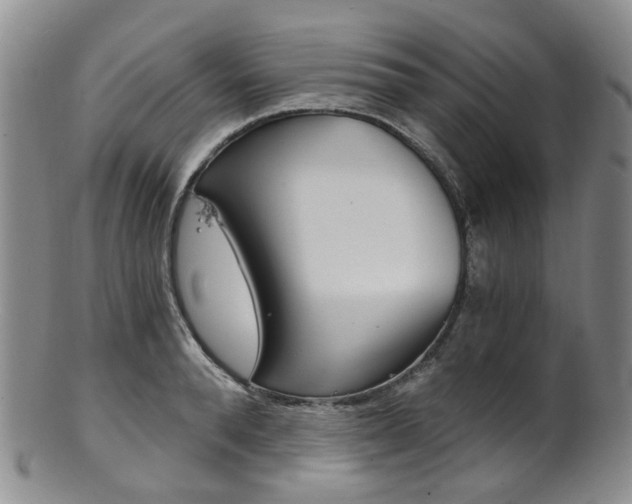 X0000101650896200807100937