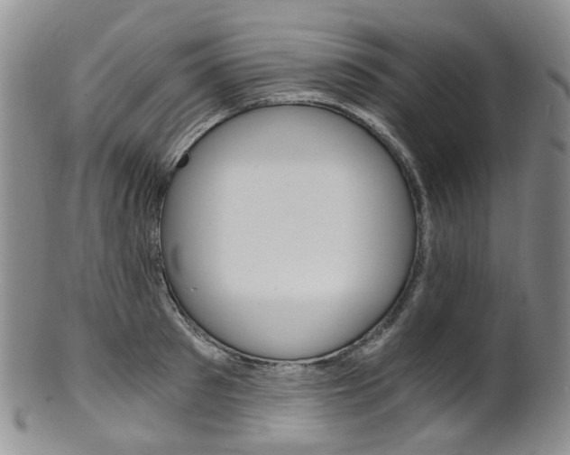 X0000101650897200807100937
