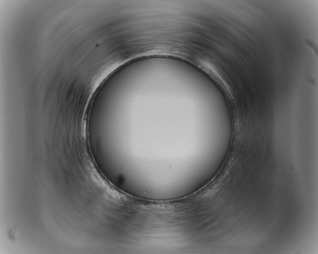 X0000101650900200807100937