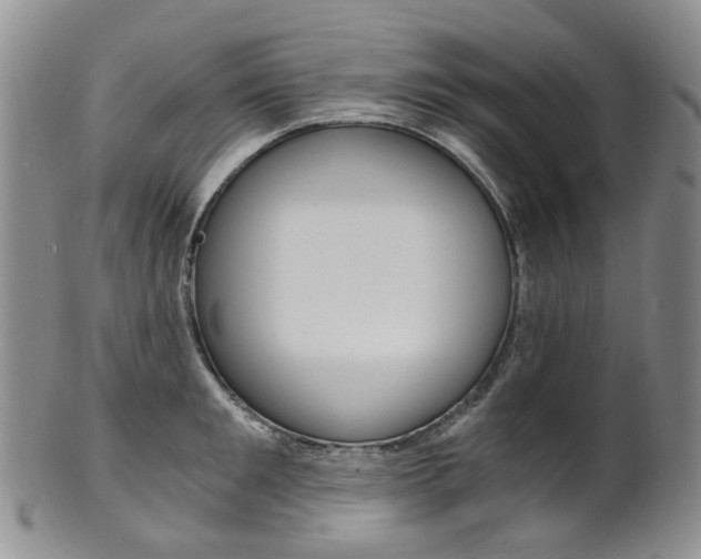 X0000101650901200807100937