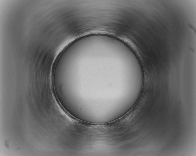 X0000101650902200807100937