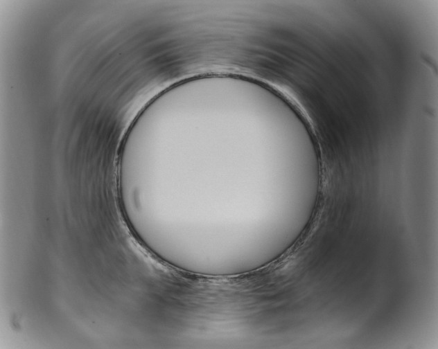 X0000101650903200807100937