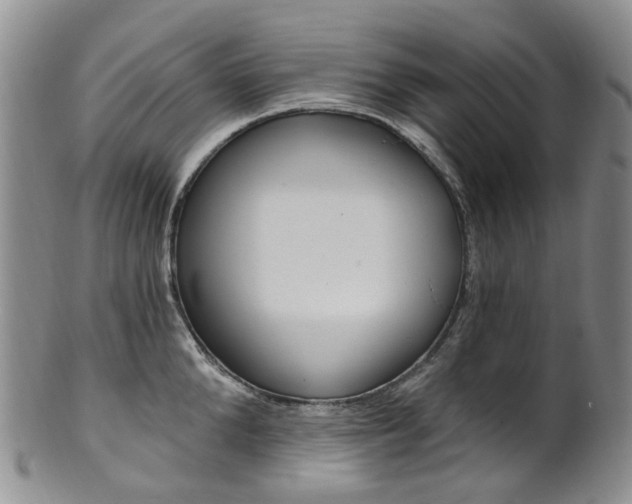 X0000101650904200807100937