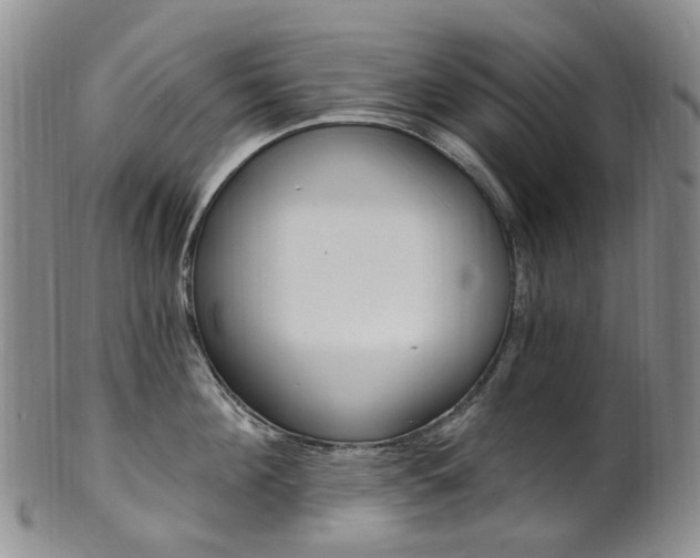X0000101650908200807100937