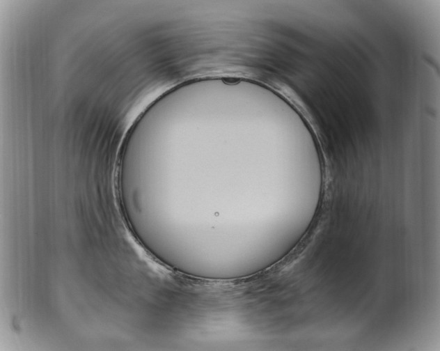 X0000101650909200807100937