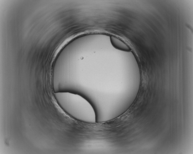 X0000101650911200807100937